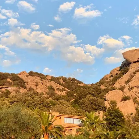 Wild Villa